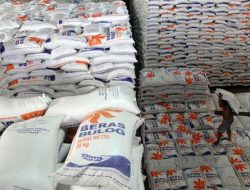 Pemerintah Hanya Memfokuskan Subsidi Pupuk dan Program Peningkatan Produktivitas Pertanian untuk Petani dengan Lahan Terbatas