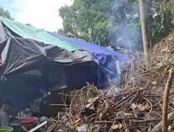 Rumah Nenek Nuryani di Samarinda Rusak Parah Tertimpa Dua Pohon